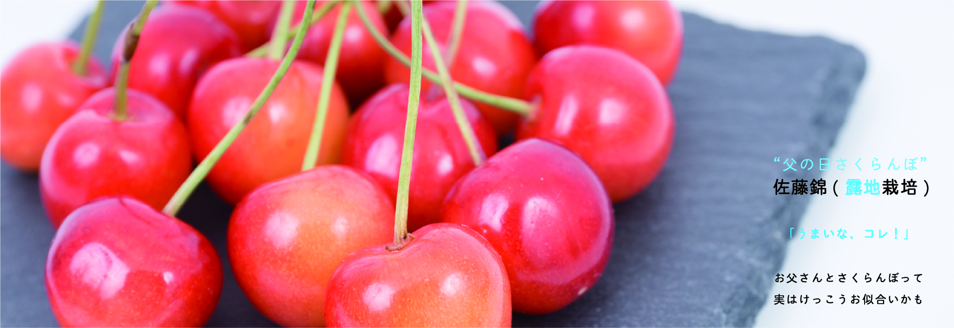 Fruit Farmersのさくらんぼ専門通販 山形県ならではの美味を選りすぐり 母の日に 父の日に 大切な人に 山形県ならではの美味を選りすぐり